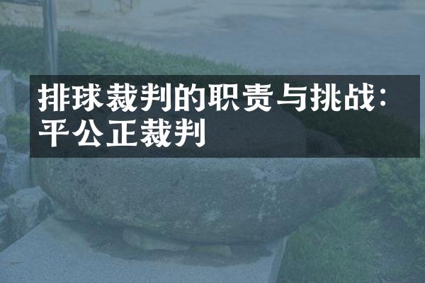 排球裁判的职责与挑战:公平公正裁判