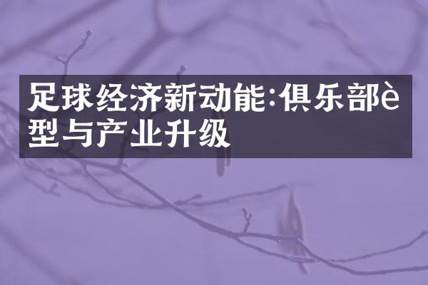 足球经济新动能:俱乐部转型与产业升级