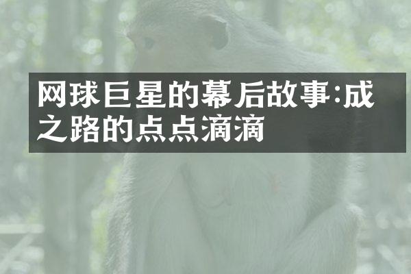 网球巨星的幕后故事:成功之路的点点滴滴