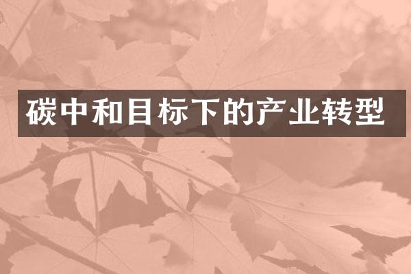 碳中和目标下的产业转型