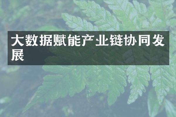 大数据赋能产业链协同发展