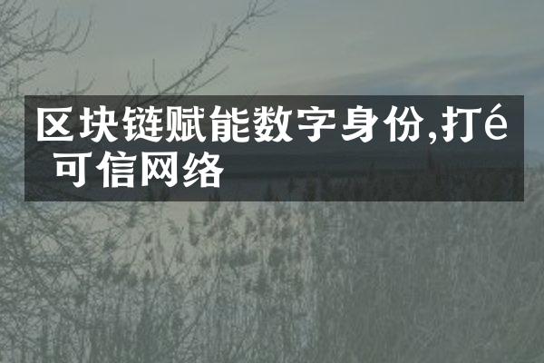 区块链赋能数字身份,打造可信网络