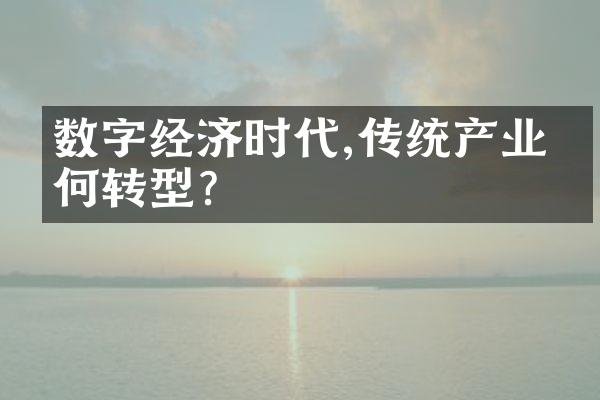 数字经济时代,传统产业如何转型?