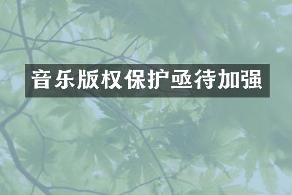 音乐版权保护亟待加强