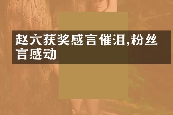 赵六获奖感言催泪,粉丝留言感动