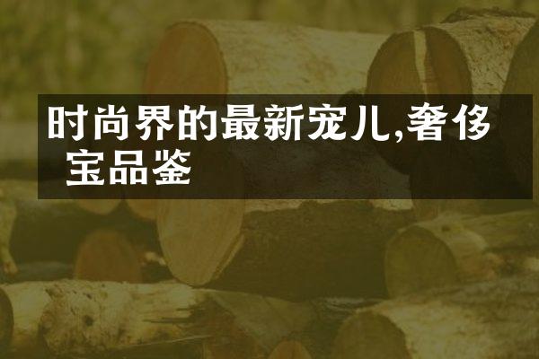 时尚界的最新宠儿,奢侈珠宝品鉴