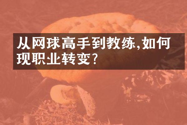 从网球高手到教练,如何实现职业转变?