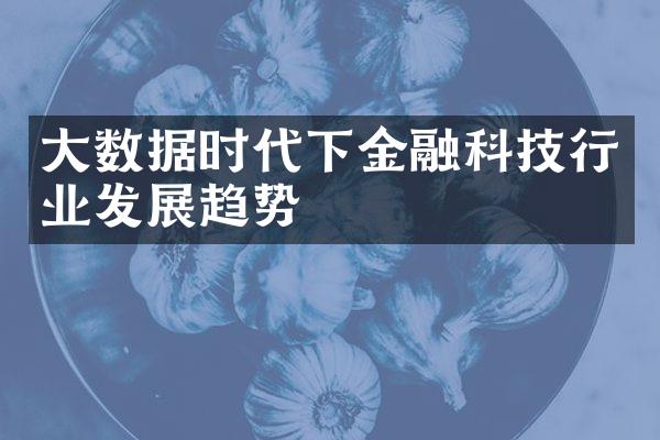 大数据时代下金融科技行业发展趋势