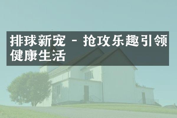 排球新宠 - 抢攻乐趣引领健康生活