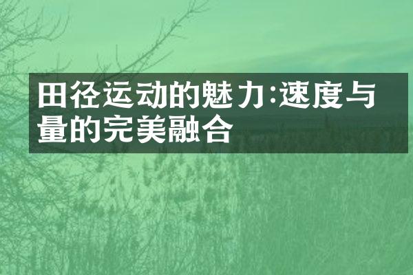 田径运动的魅力:速度与力量的完美融合