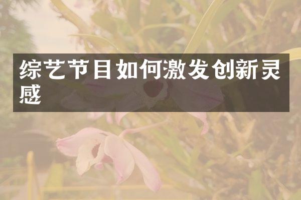 综艺节目如何激发创新灵感