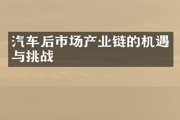 汽车后市场产业链的机遇与挑战