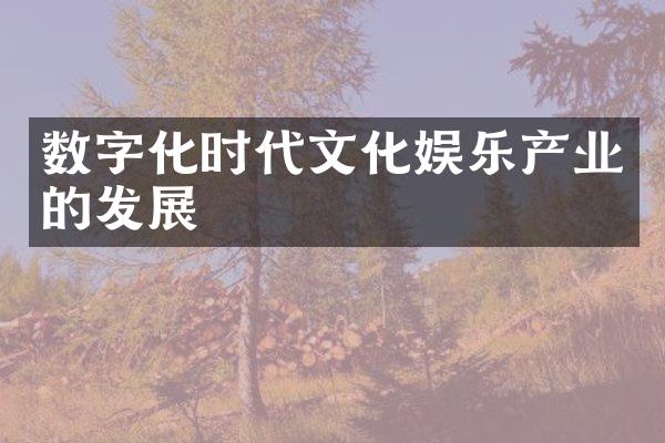 数字化时代文化娱乐产业的发展