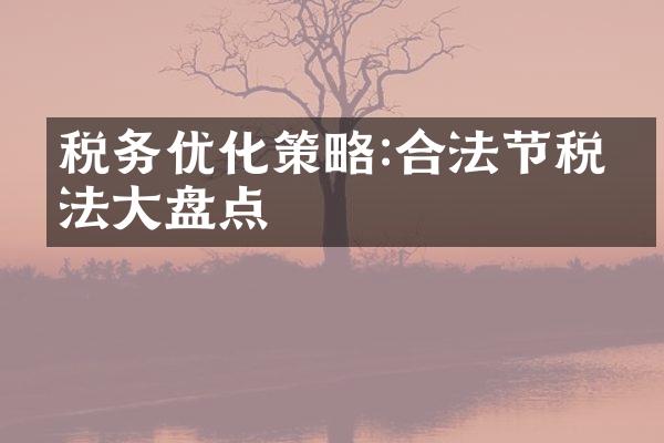 税务优化策略:合法节税方法大盘点