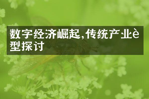 数字经济崛起,传统产业转型探讨