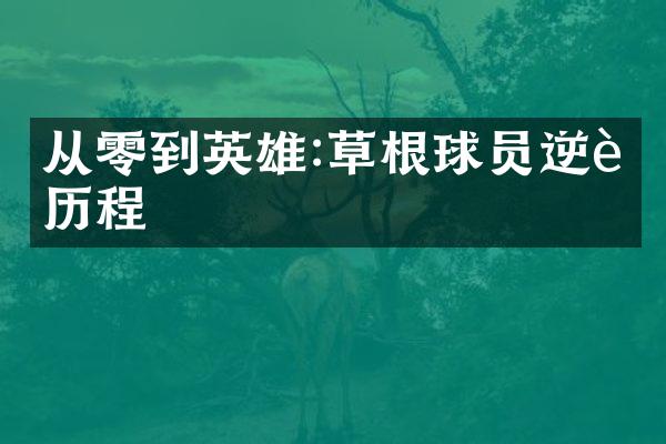 从零到英雄:草根球员逆袭