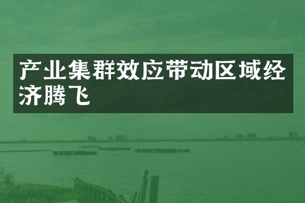 产业集群效应带动区域经济腾飞