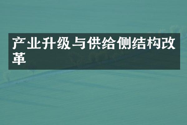 产业升级与供给侧结构改革