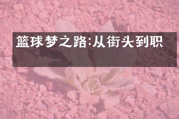 篮球梦之路:从街头到职业