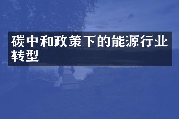 碳中和政策下的能源行业转型