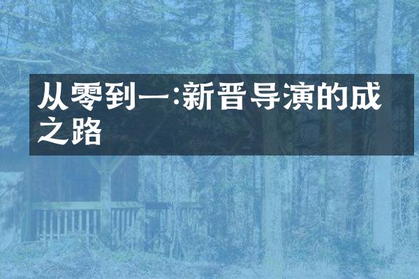 从零到一:新晋导演的成功之路