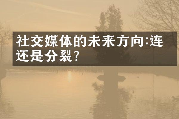 社交媒体的未来方向:连结还是分裂?