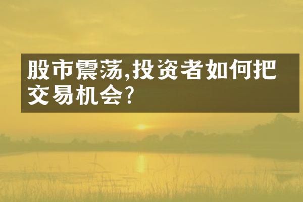 股市震荡,投资者如何把握交易机会?