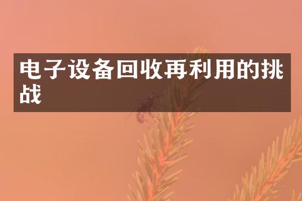 电子设备回收再利用的挑战