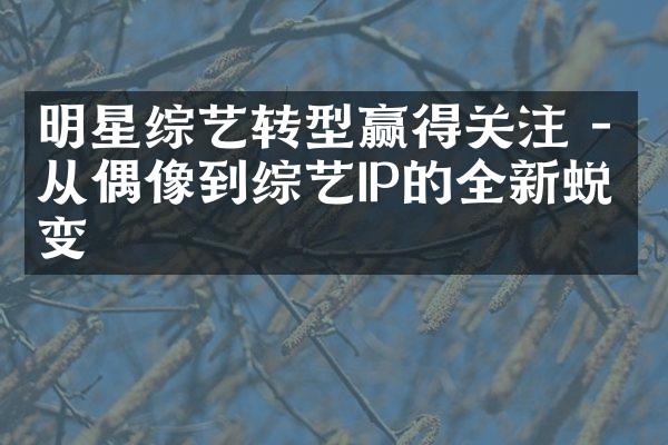 明星综艺转型赢得关注 - 从偶像到综艺IP的全新蜕变