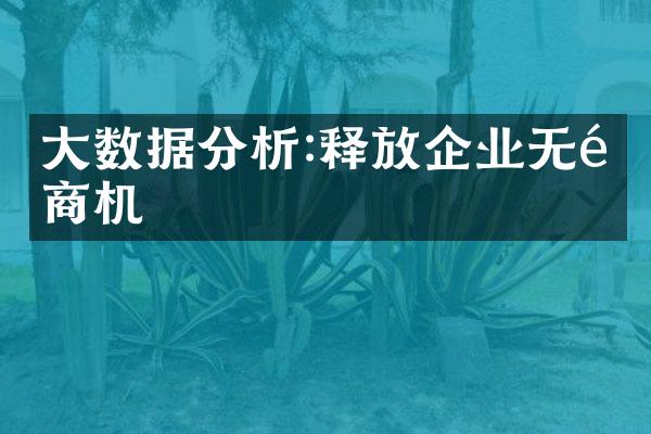 大数据分析:释放企业无限商机