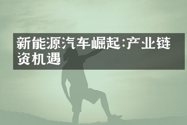 新能源汽车崛起:产业链投资机遇