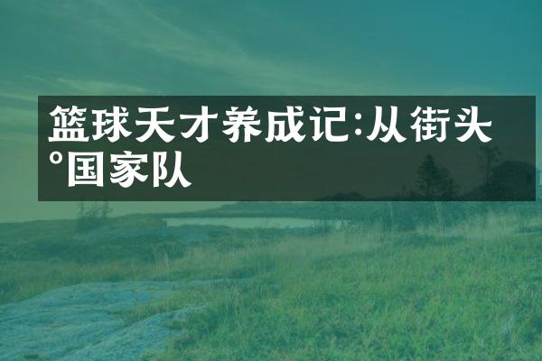 篮球天才养成记:从街头到队