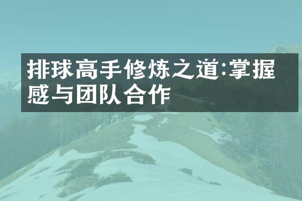 排球高手修炼之道:掌握球感与团队合作