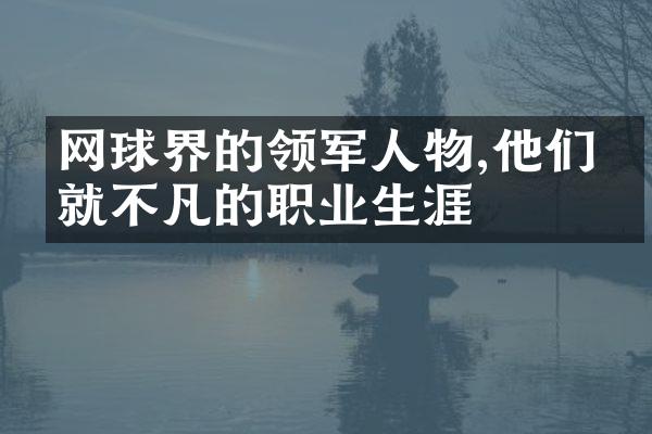 网球界的领军人物,他们成就不凡的职业生涯