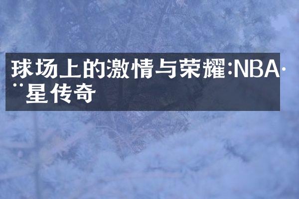 球场上的与荣耀:NBA巨星传奇