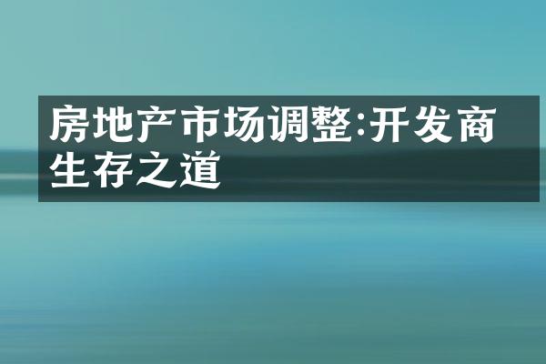 房地产市场调整:开发商的生存之道