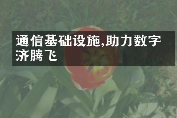 通信基础设施,助力数字经济腾飞