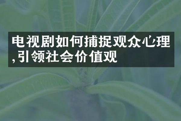 电视剧如何捕捉观众心理,引领社会价值观