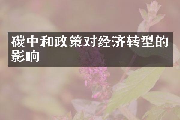 碳中和政策对经济转型的影响