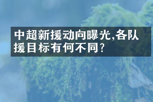 中超新援动向曝光,各队引援目标有何不同?