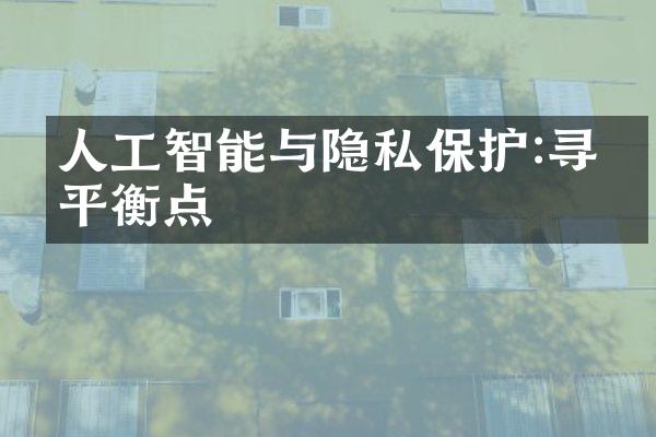 人工智能与隐私保护:寻找平衡点