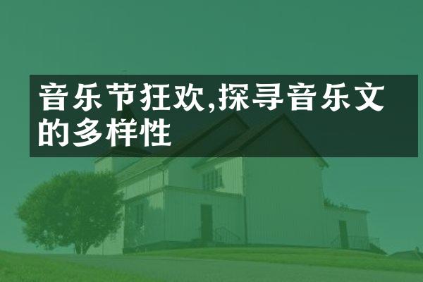 音乐节狂欢,探寻音乐文化的多样性