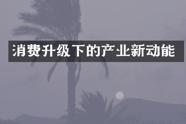 消费升级下的产业新动能