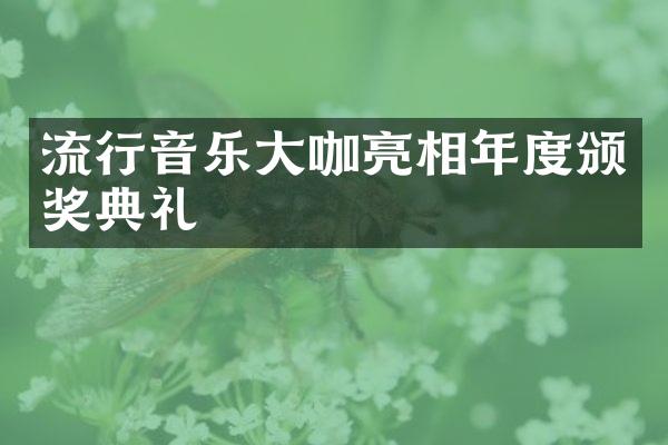 流行音乐大咖亮相年度颁奖典礼