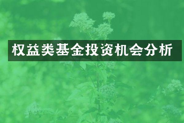 权益类基金投资机会分析