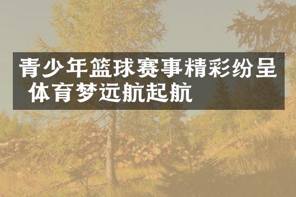 青少年篮球赛事精彩纷呈 体育梦远航起航