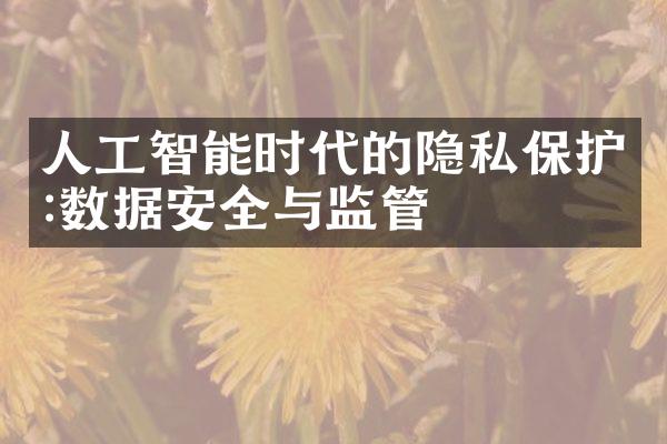 人工智能时代的隐私保护:数据安全与监管