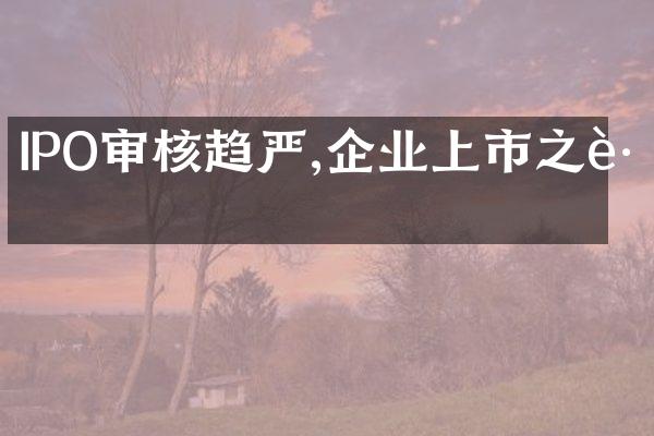 IPO审核趋严,企业上市之路