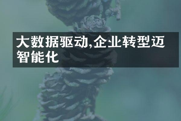 大数据驱动,企业转型迈向智能化