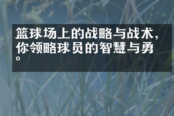 篮球场上的战略与战术,带你领略球员的智慧与勇气